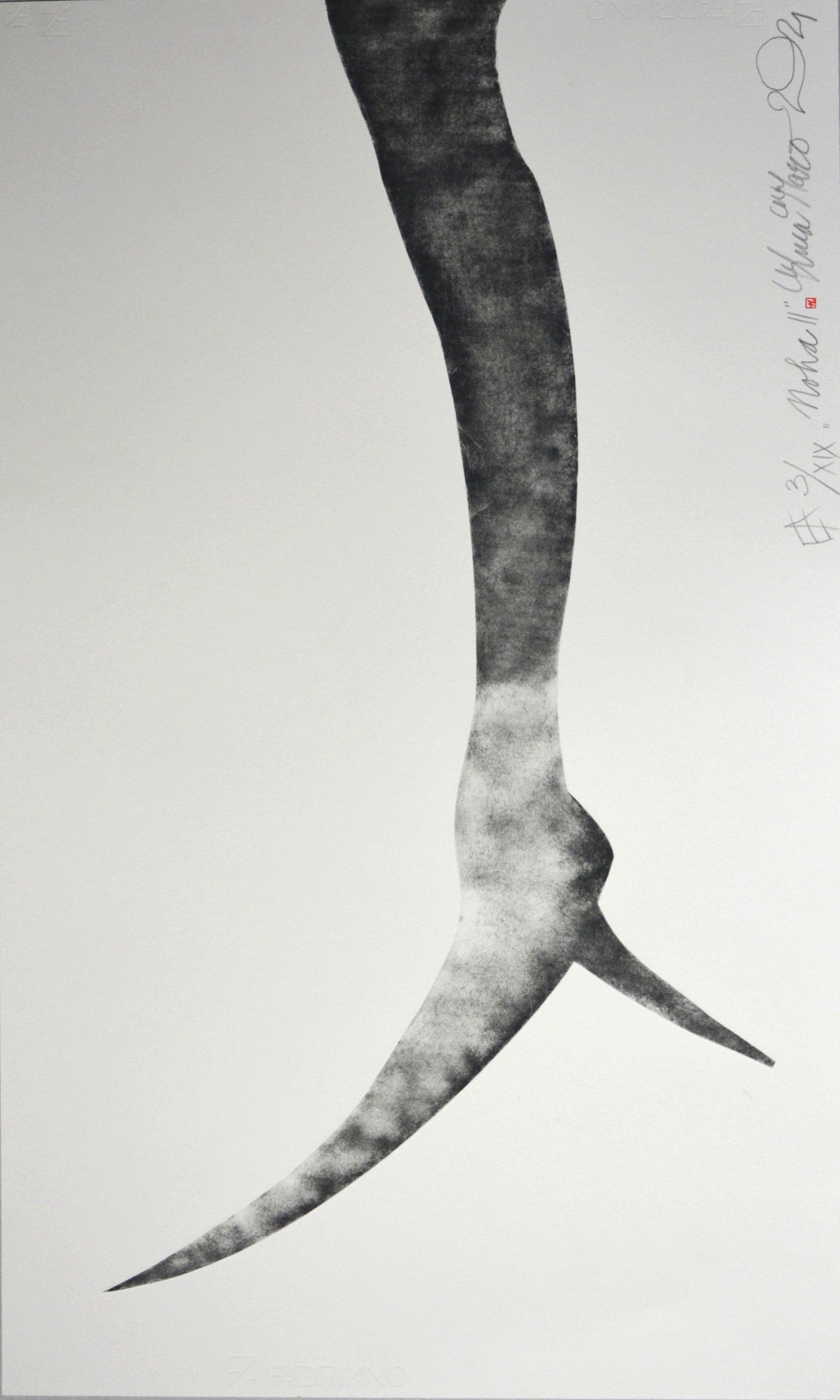 Noha - Leg II<br>
        tech.: sucha ihla - dry point<br>
        70x42 cm <p class='nosee'>pop art, art, grafika, graphics, Luca Maro, Marek Lukac, vojna, war, boots, topanka, sucha ihla, drypoint, Kaltnadel, pointe, séche, punta seca</p>